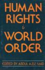 Image for Human Rights and World Order Politics