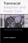 Image for Transracial Adoption and Foster Care : Practice Issues for Professionals