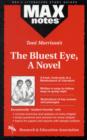 Image for Toni Morrison&#39;s The bluest eye  : a novel