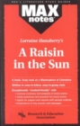 Image for MAXnotes Literature Guides: Raisin in the Sun