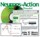 Image for Neurons in Action - Computer Simulations with Neurolab