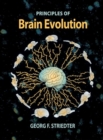 Image for Brain evolution