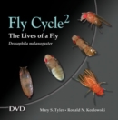 Image for Fly Cycle 2