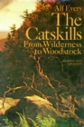 Image for The Catskills : From Wilderness to Woodstock