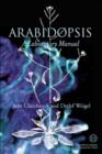 Image for Arabidopsis : A Laboratory Manual