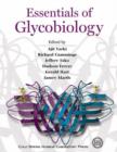 Image for Essentials of Glycobiology
