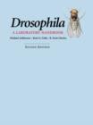 Image for Drosophila  : a laboratory handbook