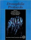 Image for Drosophila Protocols
