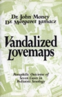 Image for Vandalized Lovemaps