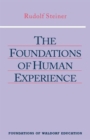 Image for The Foundations of Human Experience