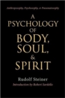 Image for A psychology of body, soul and spirit  : 12 lectures, 23 to 27 Oct. 1909, 1 to 4 Nov. 1910, 12 to 16 Dec. 1911, GA 115