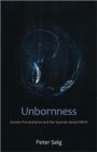 Image for Unbornness  : human pre-existence and the journey toward birth