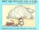 Image for Why the Possum&#39;s Tail is Bare