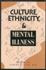 Image for Culture, Ethnicity, and Mental Illness