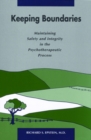Image for Keeping Boundaries : Maintaining Safety and Integrity in the Psychotherapeutic Process