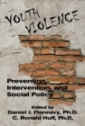 Image for Youth Violence : Prevention, Intervention, and Social Policy