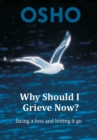 Image for Why Should I Grieve Now?: facing a loss and letting it go.