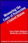 Image for Measuring the Costs of Protection in the United States