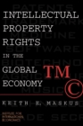 Image for Intellectual Property Rights in the Global Economy