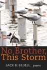 Image for No Brother, This Storm : Poems
