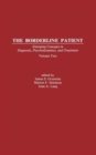 Image for The Borderline Patient : Emerging Concepts in Diagnosis, Psychodynamics, and Treatment