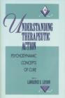 Image for Understanding Therapeutic Action