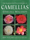 Image for The Illustrated Encyclopedia of Camellias