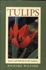 Image for Tulips  : species and hybrids for the gardener