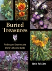 Image for Buried Treasures