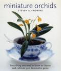 Image for Miniature Orchids