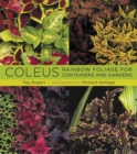 Image for Coleus  : rainbow foliage for containers and gardens
