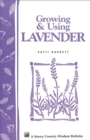 Image for Growing &amp; Using Lavender : Storey&#39;s Country Wisdom Bulletin A-155