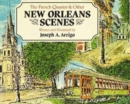 Image for French Quarter and Other New Orleans Scenes, The