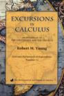 Image for Excursions in Calculus