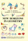 Image for New horizons in geometry