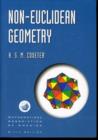 Image for Non-Euclidean Geometry