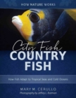 Image for City Fish Country Fish