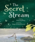 Image for The secret stream