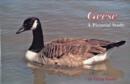 Image for Geese : A Pictorial Study