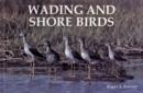 Image for Wading and Shore Birds : A Photographic Study