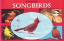 Image for Favorite Songbirds