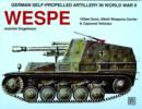 Image for German Self-Propelled Artillery in WWII : Wespe