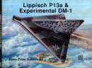 Image for Lippisch P 13a &amp; Experimental DM-1