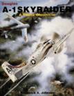 Image for Douglas A-1 Skyraider : A Photo Chronicle