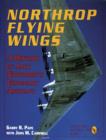 Image for Northrop Flying Wings