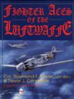 Image for Fighter Aces of the Luftwaffe