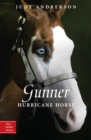 Image for Gunner : Hurricane Horse