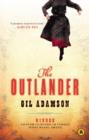 Image for The outlander