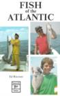 Image for Fish of the Atlantic