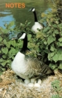 Image for Note Book Canada Geese